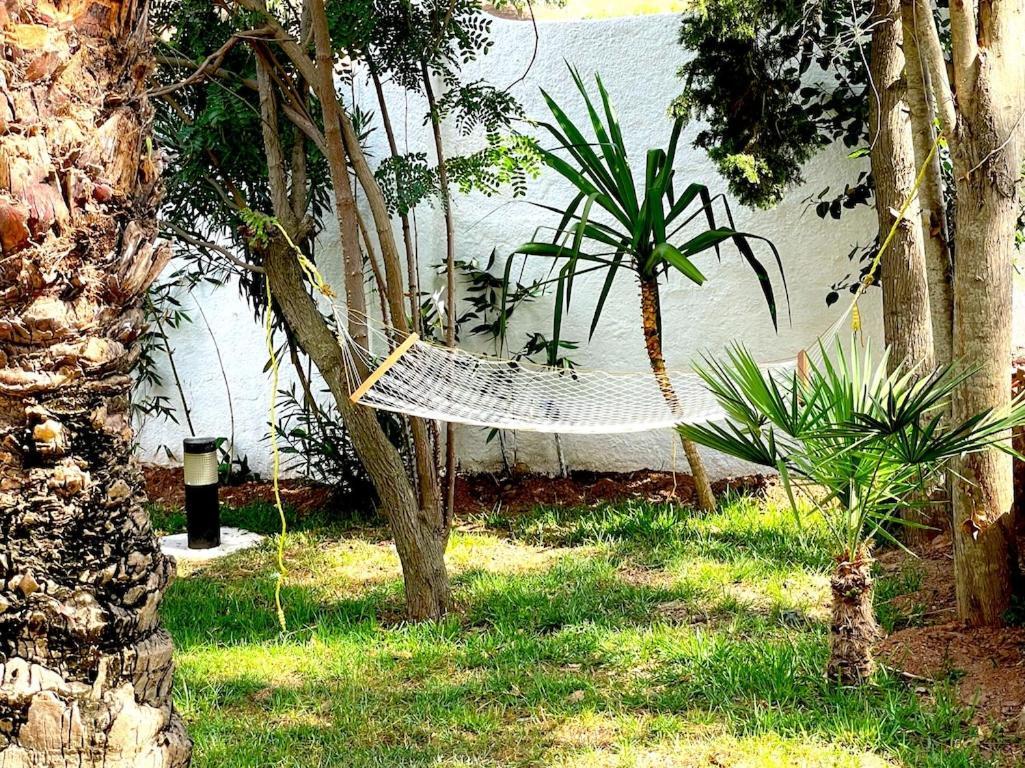 Dar Maria - Maison D'Hotes Aouchtame Bni Said 外观 照片